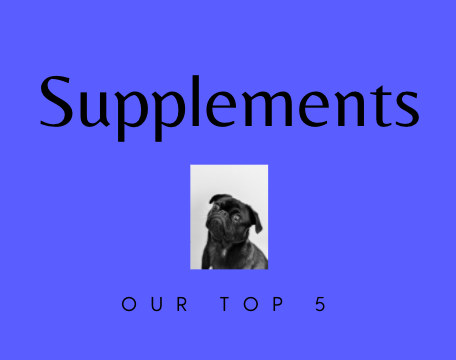 Top 5 Supplements For Our Dogs